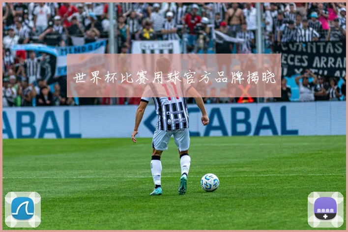 世界杯比赛用球官方品牌揭晓