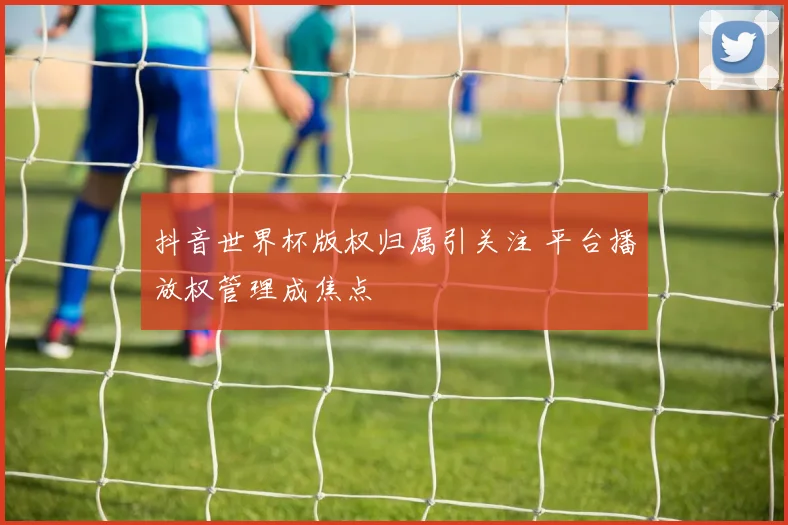 抖音世界杯版权归属引关注 平台播放权管理成焦点