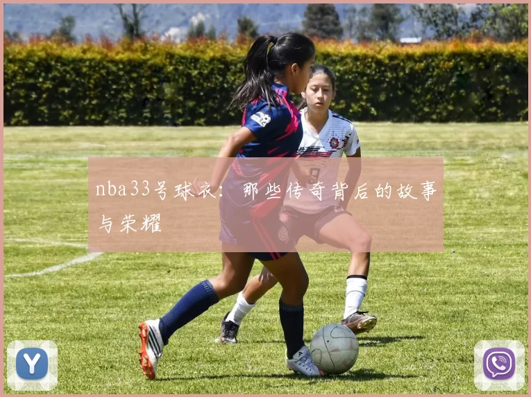 nba33号球衣：那些传奇背后的故事与荣耀